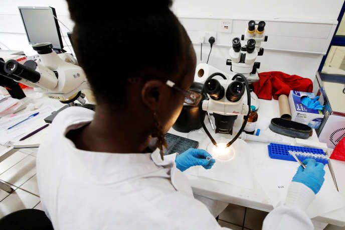 Outils et Technologies de la Sante Numerique en Afrique